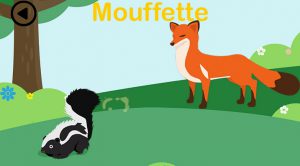 Forest-explorer-moufette