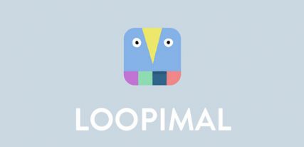 Loopimal application code