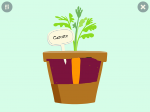 nutrition carotte